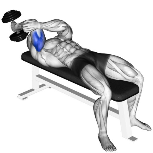 トライセプスプレス ｜ QITANO ® 北野カラダづくりラボ