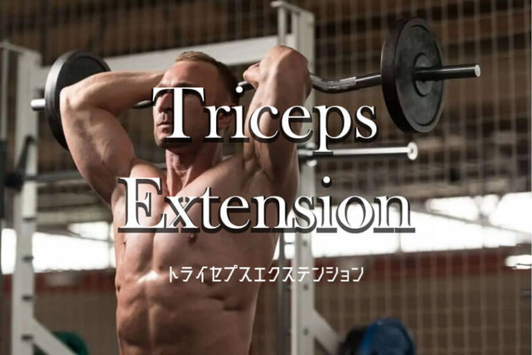 トライセプスエクステンションの効果的なやり方｜上腕三頭筋を鍛えるトレーニング