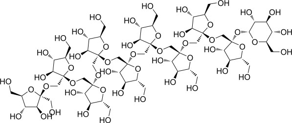 フラクトオリゴ糖の研究と最新情報