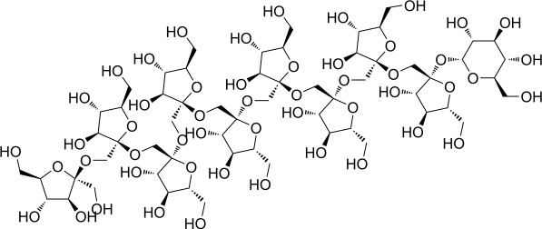 フラクトオリゴ糖の研究と最新情報