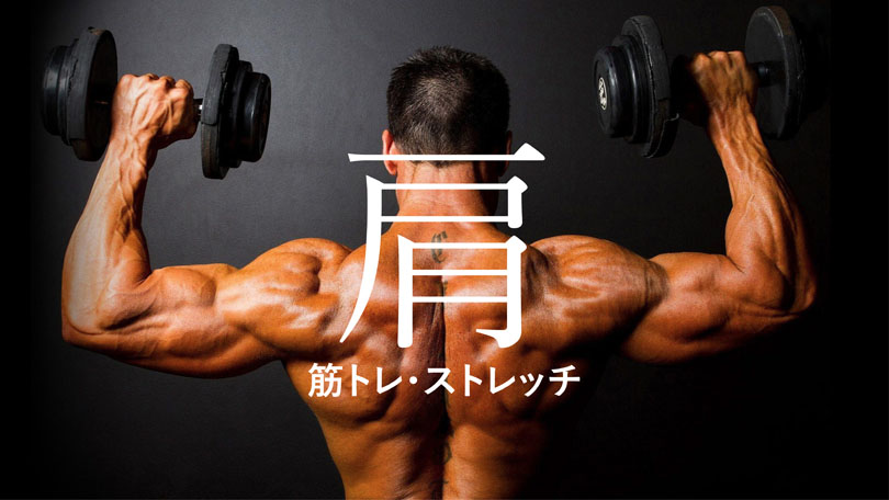 肩周りの筋肉構造からトレーニングの種類とストレッチ方法を紹介