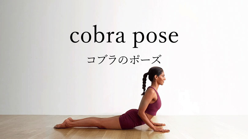 コブラのポーズの魅力と実践方法：初心者から上級者までの完全ガイド