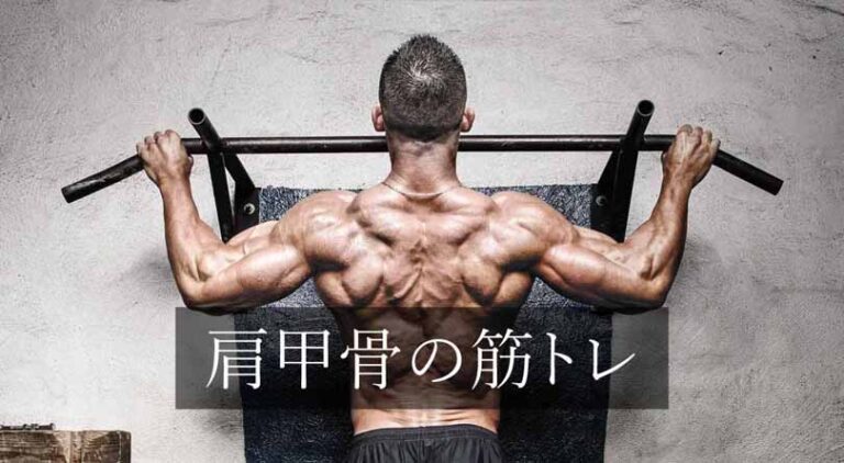 肩甲骨の筋トレ効果とは？ダンベル・自重・バーベルのやり方（初心者～上級者）