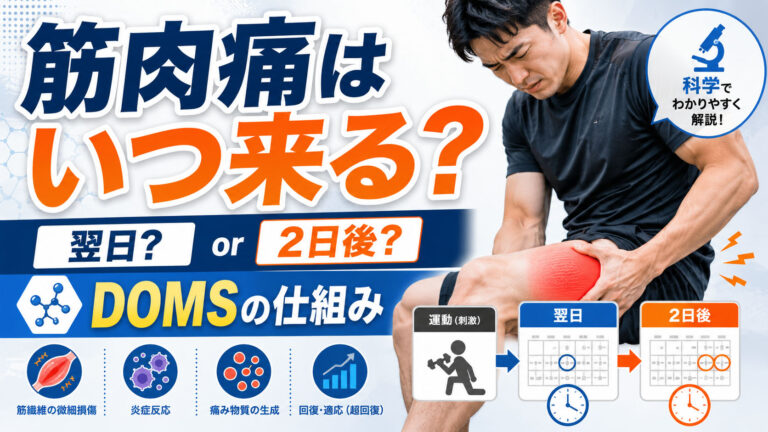 筋肉痛はいつ来る？翌日・2日後の違いとDOMSの仕組みを均整術師が解説